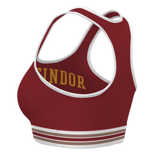 9Heritages 3D H.P Gryffindor Custom Sport Bra