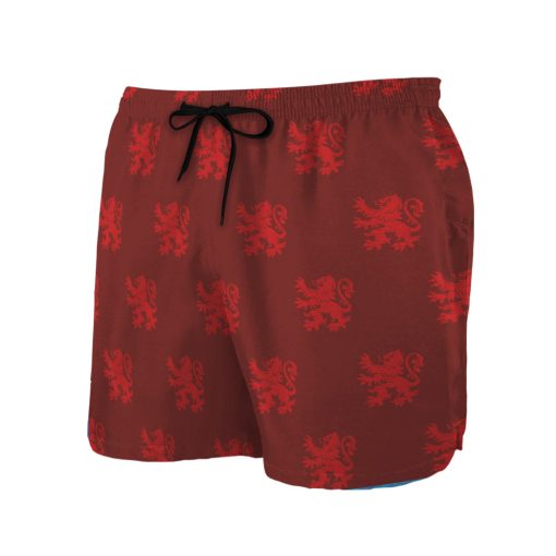 9Heritages 3D H.P Gryffind House Custom Men Short